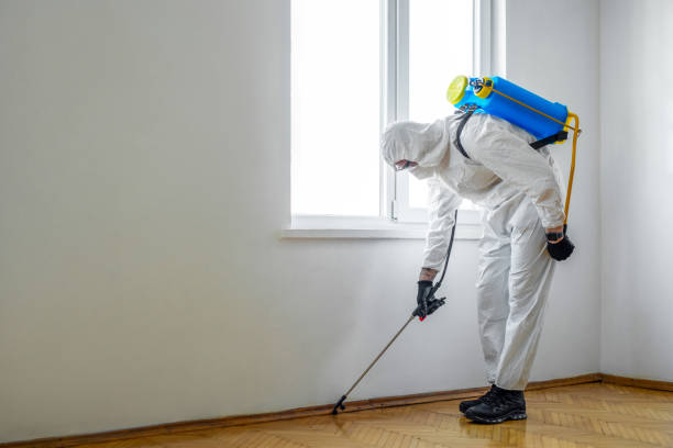 Pest Control for Hotels in Winchester, IL